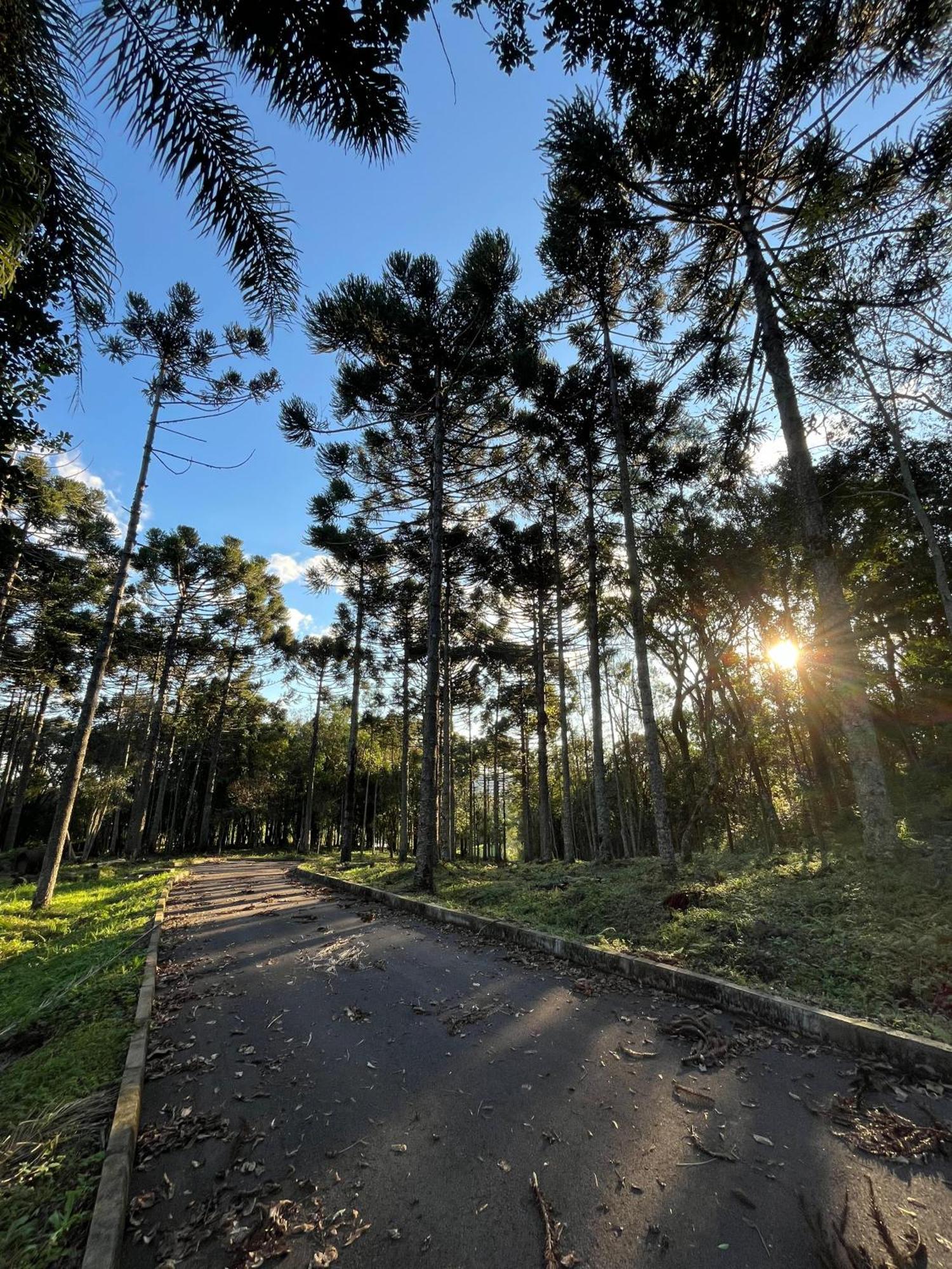 Ville Del Bosco Hotel São Marcos Exterior foto